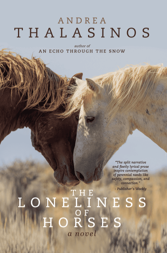 Image of Lumpy's Gift cover.